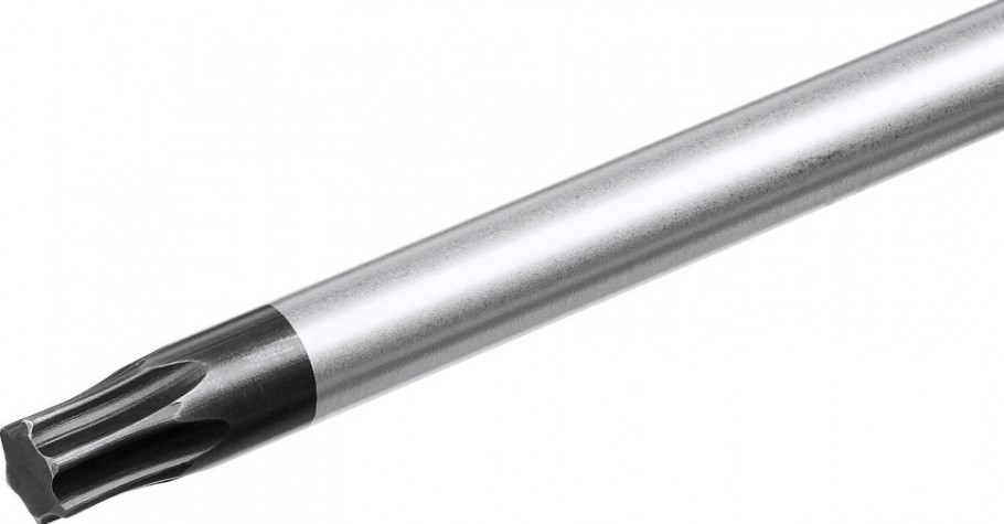 Отвертка TX ЗУБР ПРОФЕССИОНАЛ tx30x100 [25234-30_z01]